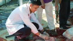 Sudin KPKP Jaktim Periksa Daging Kurban
