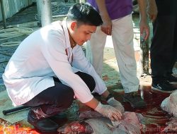 Sudin KPKP Jaktim Periksa Daging Kurban