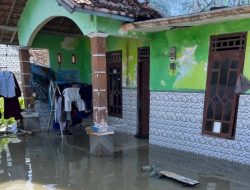 Banjir Rob Rendam Tiga Desa di Rembang, Abrasi Ancam Permukiman Warga Pesisir