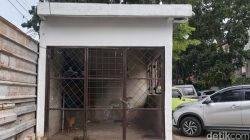 Satpol PP Bandung Tertibkan Bangunan di Atas Trotoar, Tegaskan Komitmen Jaga Ruang Publik