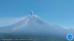 Gunung Semeru Kembali Erupsi, Kolom Abu Capai 1,2 Kilometer di Atas Puncak