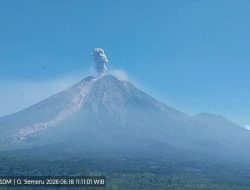Gunung Semeru Kembali Erupsi, Kolom Abu Capai 1,2 Kilometer di Atas Puncak