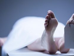Wanita Muda Ditemukan Meninggal di Area Perkebunan Ciomas, Polisi Lakukan Penyelidikan