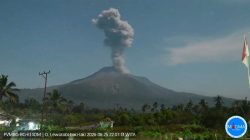 Gunung Lewotobi Laki-Laki Kembali Erupsi, Warga Diminta Jauhi Radius 5 Kilometer