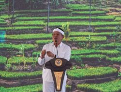 Pemprov Jabar Evaluasi Angkot Tua dan Dorong Armada Listrik