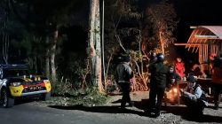 Dua Remaja Hilang di Gunung Bismo Ditemukan Meninggal, Evakuasi Terkendala Jurang Sedalam 284 Meter