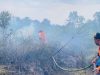 BNPB: Karhutla Hanguskan Puluhan Hektare Lahan di Kalimantan, Satu Warga Pingsan Akibat Asap