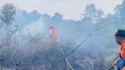 BNPB: Karhutla Hanguskan Puluhan Hektare Lahan di Kalimantan, Satu Warga Pingsan Akibat Asap