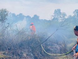BNPB: Karhutla Hanguskan Puluhan Hektare Lahan di Kalimantan, Satu Warga Pingsan Akibat Asap