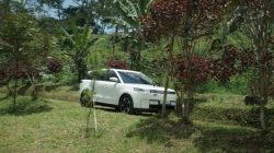 BYD Kuasai Pasar Mobil Listrik Indonesia pada Semester I 2026, Jaecoo J5 Jadi Model Terlaris