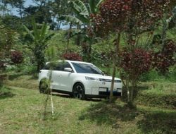 BYD Kuasai Pasar Mobil Listrik Indonesia pada Semester I 2026, Jaecoo J5 Jadi Model Terlaris