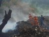 DLH Wajibkan Pelaku Pembakaran TPS Ilegal di Cikeas Bersihkan dan Pulihkan Lahan