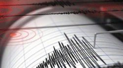 Gempa Magnitudo 4,3 Guncang Tenggara Pacitan, BMKG: Berpusat di Laut dengan Kedalaman 10 Kilometer