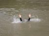 Siswi MTs di Garut Tewas Tenggelam saat Berenang di Bak Penampungan Air