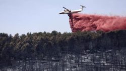Kebakaran Hutan Landa Prancis Selatan, Ratusan Warga Dievakuasi