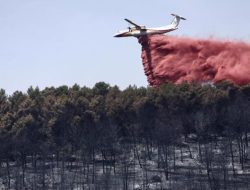 Kebakaran Hutan Landa Prancis Selatan, Ratusan Warga Dievakuasi