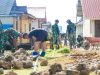 Satgas TMMD Ke-129 Kodim 1311/Morowali terus genjot Pekerjaan Rabat Jalan di Desa Polewali