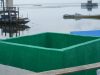 Pekerjaan Manunggal Air Bersih TMMD Ke-129 di Desa Umbele Lama Rampung, Masuki Tahap Finishing Pengecatan