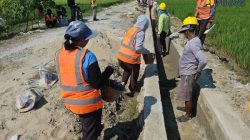 Hadapi El Nino, P3TGAI Perkuat Irigasi dan Serap 11.369 Tenaga Kerja