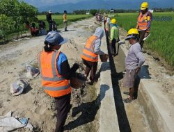 Hadapi El Nino, P3TGAI Perkuat Irigasi dan Serap 11.369 Tenaga Kerja