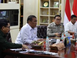 Mentan Amran Pastikan Harga Ayam dan Telur Peternak Pulih
