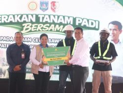 Mentan Amran Gelontorkan Bantuan Rp1,3 Triliun untuk Papua Selatan, Perkuat Lumbung Pangan Indonesia Timur