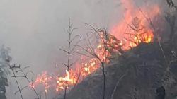 Gunung Bromo Kebakaran, Tiga Akses Wisata Ditutup Sementara