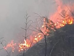 Gunung Bromo Kebakaran, Tiga Akses Wisata Ditutup Sementara