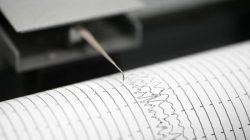 Gempa M 5,6 Guncang Halmahera Barat, Tidak Berpotensi Tsunami