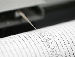 Gempa M 5,6 Guncang Halmahera Barat, Tidak Berpotensi Tsunami