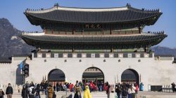 Seoul Diprediksi Tembus 39°C, Gelombang Panas Korea Selatan Telan Puluhan Korban