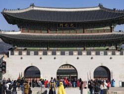 Seoul Diprediksi Tembus 39°C, Gelombang Panas Korea Selatan Telan Puluhan Korban