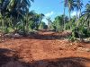 Pembukaan Jalan Penghubung Kepulauan Umbele Hampir Rampung Berkat Sinergitas Satgas TMMD dan Masyarakat