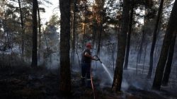 Kebakaran Hutan Ancam Pantai Yunani, 500 Wisatawan Dievakuasi