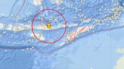 Gempa M7,7 Guncang Nagekeo, Tsunami Terdeteksi di Sejumlah Wilayah