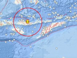 Gempa M7,7 Guncang Nagekeo, Tsunami Terdeteksi di Sejumlah Wilayah