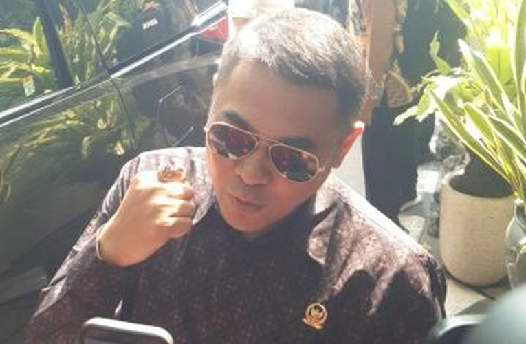 Arya Wedakarna: Pemilu 2029, Saya Ikut Pak Jokowi