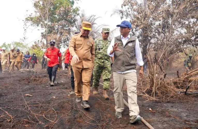 Kementerian Kehutanan Proses 42 Kasus Karhutla