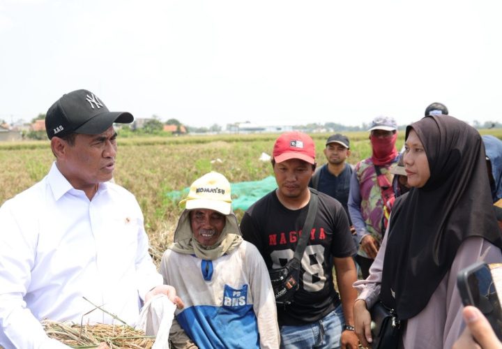 Kementan Buka Akses Alsintan bagi Buruh Tani Tanpa Lahan