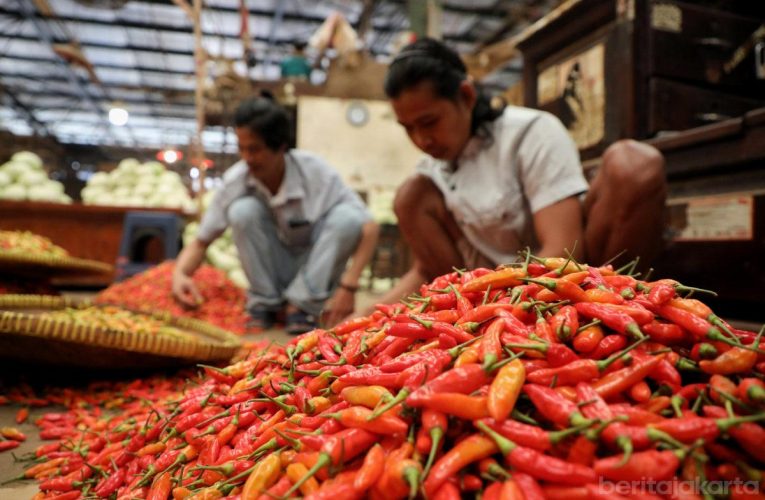 Harga Cabai Rawit Merah Naik, Pemprov DKI Perkuat Pasokan