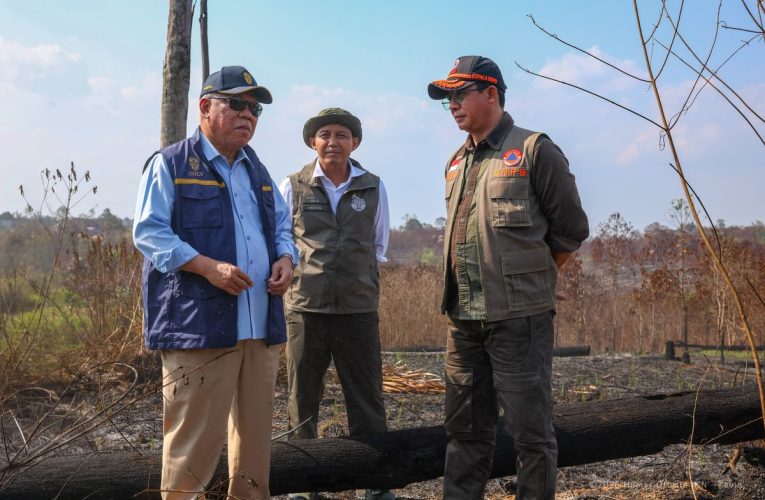 Prabowo Perintahkan Karhutla Tak Masuk Zona Inti IKN