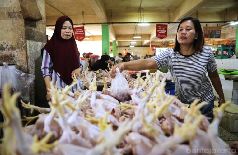 Inflasi Jakarta Agustus 2026 Capai 0,15 Persen Dipicu Harga Ayam
