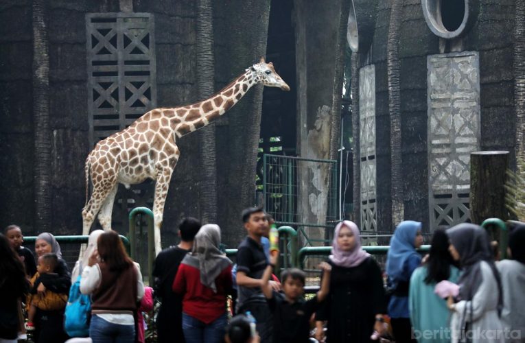 Tarif Masuk Ragunan Diusulkan Naik Jadi Rp10 Ribu