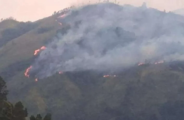 Kebakaran Gunung Arjuno-Ringgit Meluas, Api Mendekati Permukiman Warga di Malang