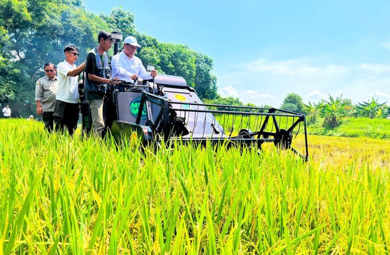 Produksi Padi Nasional Capai 43,89 Juta Ton hingga Agustus 2026