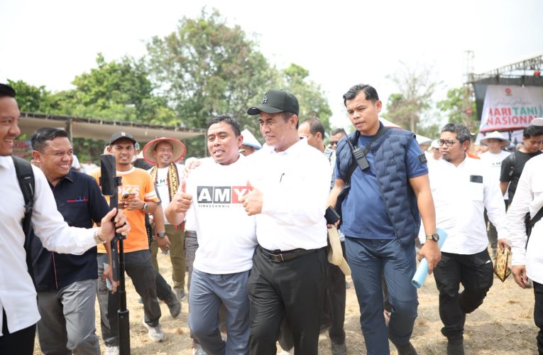SPHP Jagung Rp5.000 Bantu Tekan Biaya Peternak Lampung