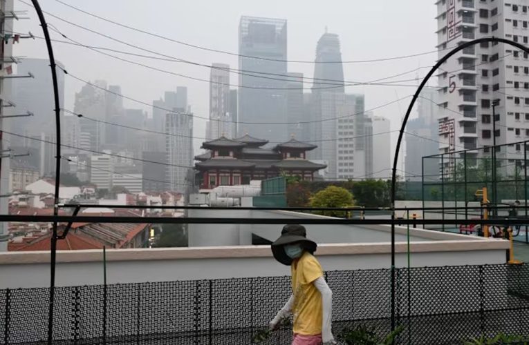 Singapura Selidiki Perusahaan yang Diduga Terlibat dalam Karhutla di Indonesia