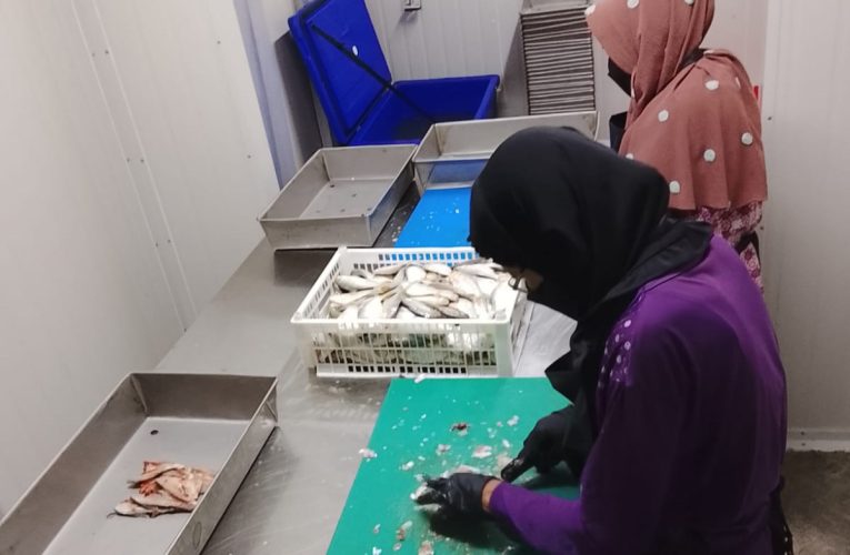 Hilirisasi Ikan KNMP Ketapang Tingkatkan Nilai Jual Hasil Nelayan